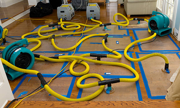 Professional Crawl Space Water Removal technician working in South Walpole, MA